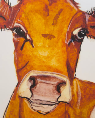 Cows | I’m Ready For my Close Up!