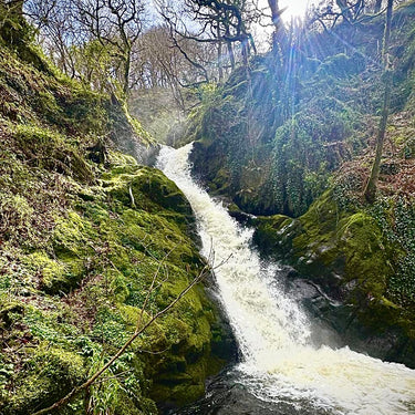 Dolgoch Falls  | Mounted Print
