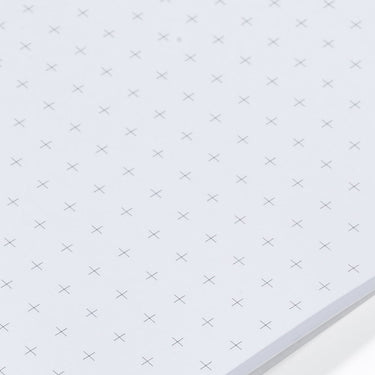 The Phoenix Journal