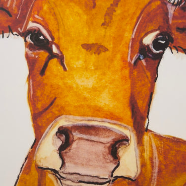 Gwartheg Jersey | Jersey Cow