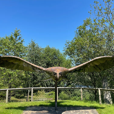 Nant Yr Arian Red Kite Centre | Mounted Print