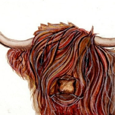 Gwartheg Yr Ucheldir | Highland Cow