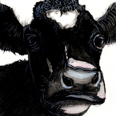 Gwartheg Holstein | Holstein Cow