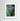 Wild Tides